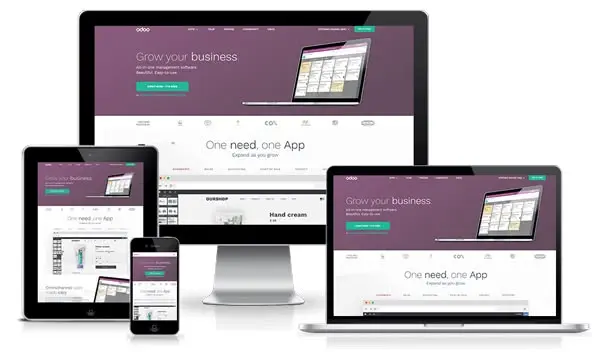 برنامج حسابات Odoo | النظام المحاسبي المتكامل لإدارة الشركات في اليمن